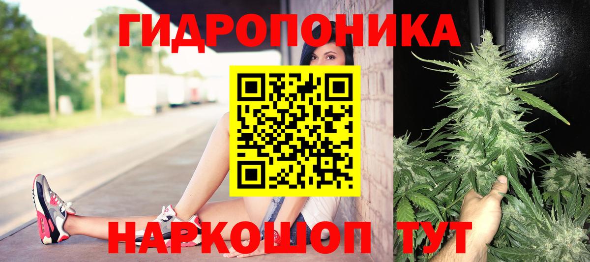 Канабис гибрид Гуково